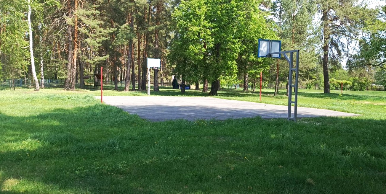 Подготовка к летней оздоровительной кампании в загородном детском лагере 